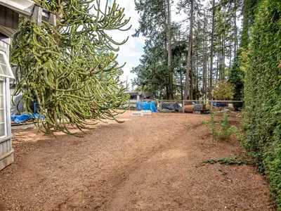 View 39