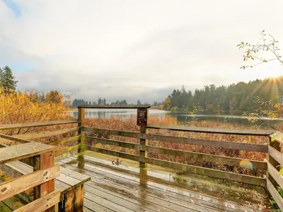 View 53