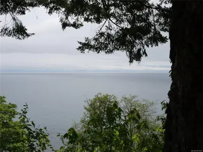 View 42