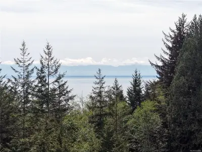 View 1