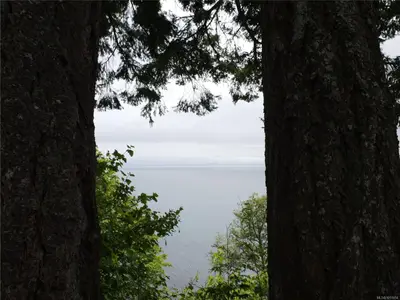 View 41