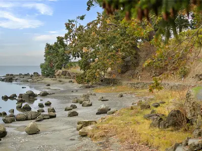View 54