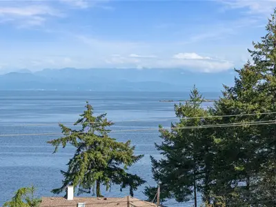 View 65