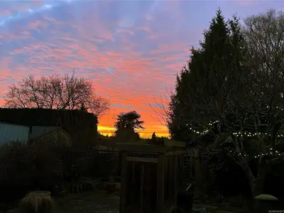 View 54