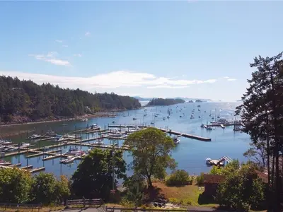 View 5
