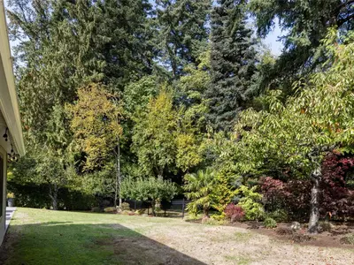 View 36