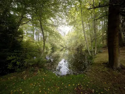 View 37