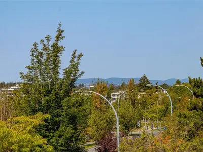 View 31
