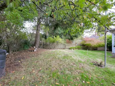 View 50