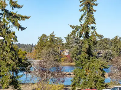 View 30