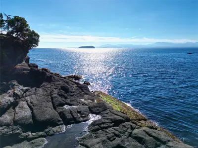 View 1