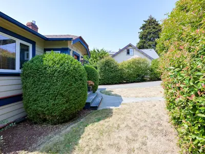 View 43