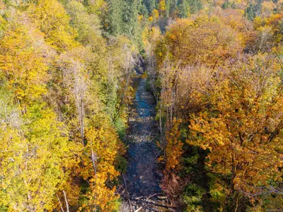 View 30