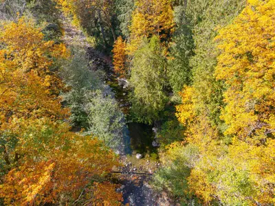 View 31