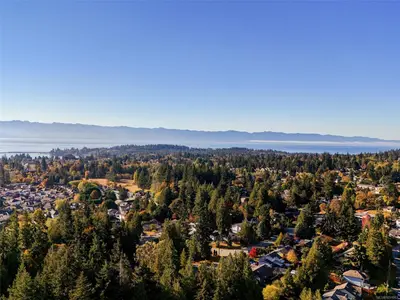 View 36