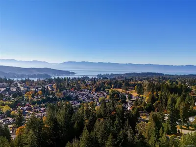 View 31