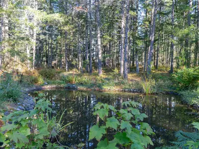 View 36