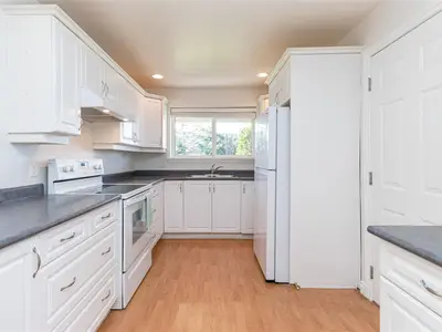 View 50