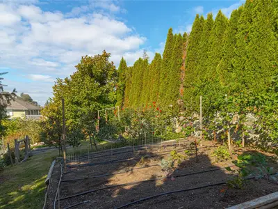 View 70
