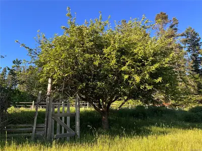 View 36