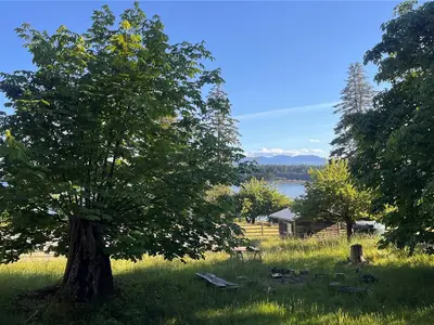View 24