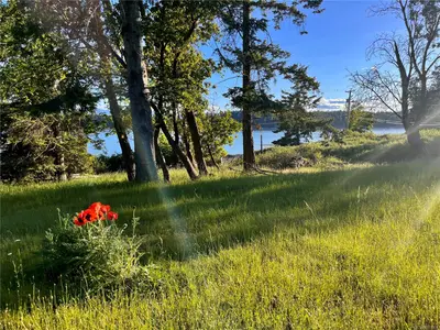 View 37