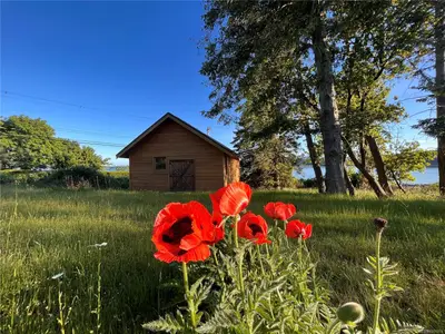 View 35