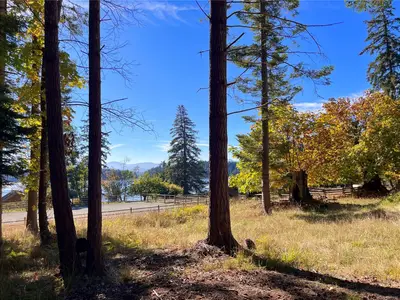 View 25