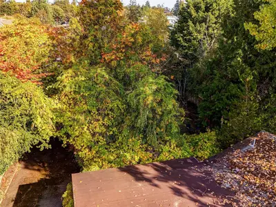 View 61