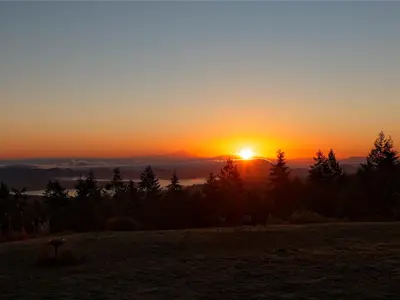 View 61