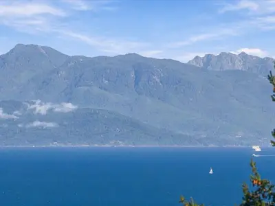 View 21