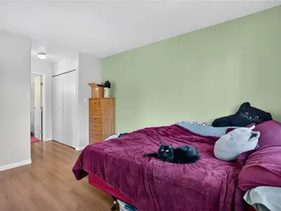 View 28