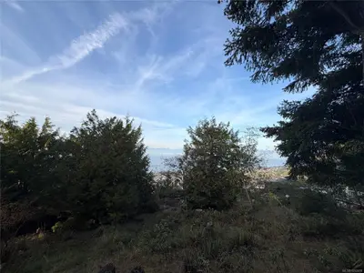 View 4