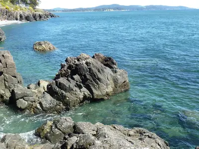 View 43