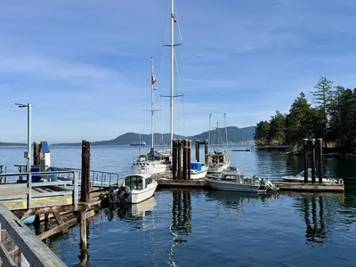 View 36