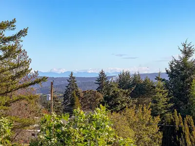 View 40