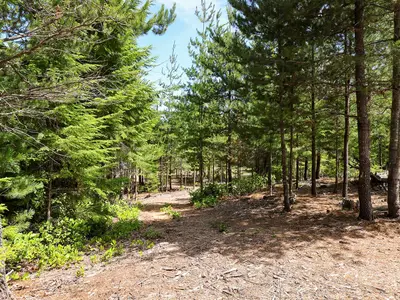 View 41