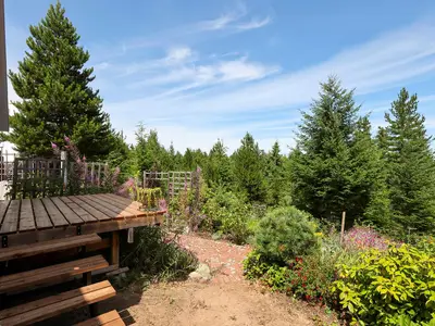 View 37