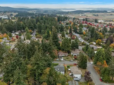 View 43