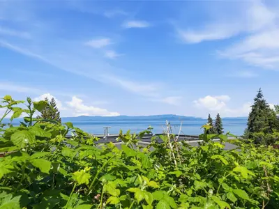 View 30