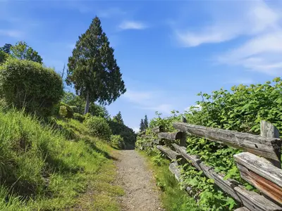 View 29
