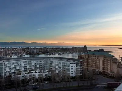 View 15