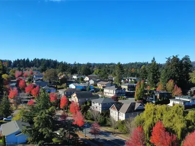 View 49
