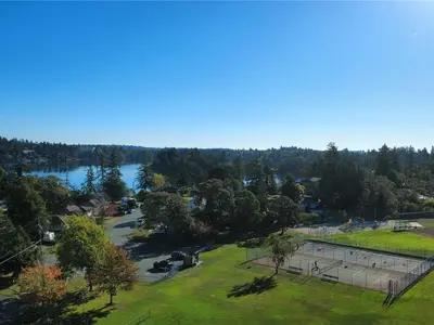 View 50