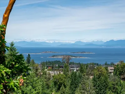 View 39