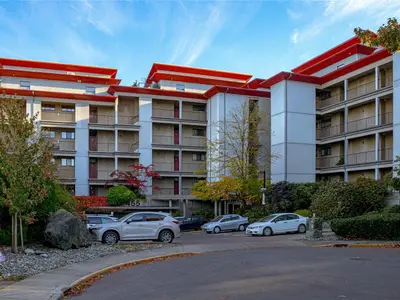 View 31