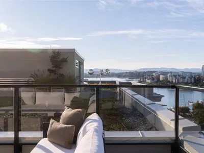 View 66