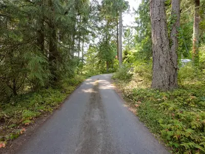View 71