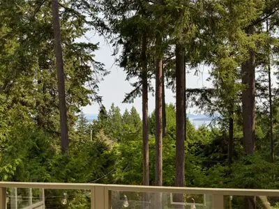 View 18