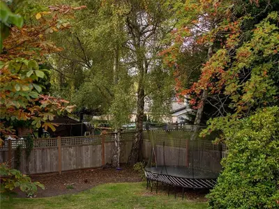 View 39